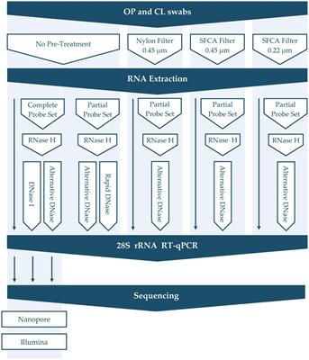 The 28S rRNA RT-qPCR assay for host depletion evaluation to enhance avian virus detection in Illumina and Nanopore sequencing
